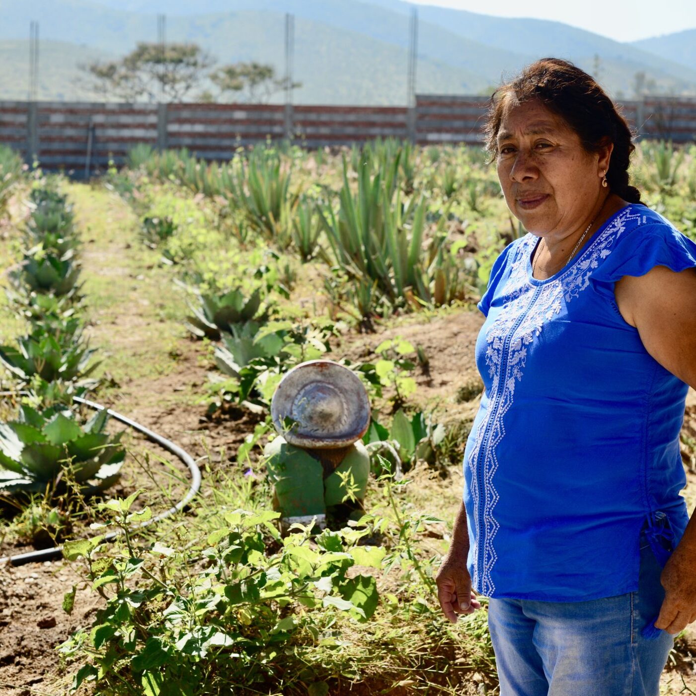 Hortensia Hernández at her palenque Mezcal Desde La Eternidad. (Photo Karen Otter)