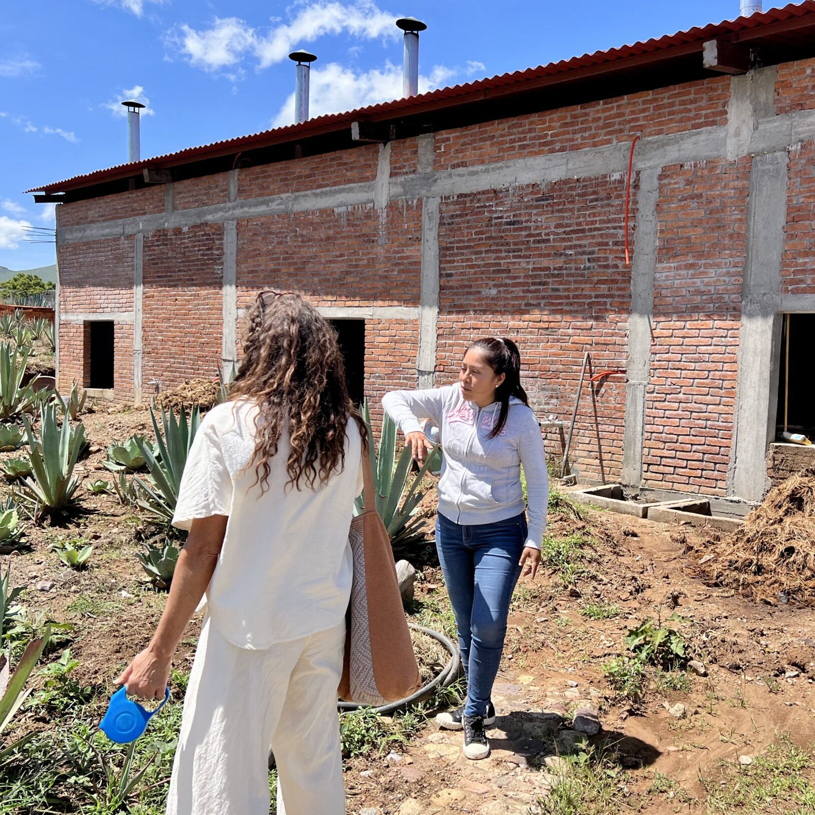 Lidia gives a tour of a maguey field. (Photo: Katy Kavanaugh)